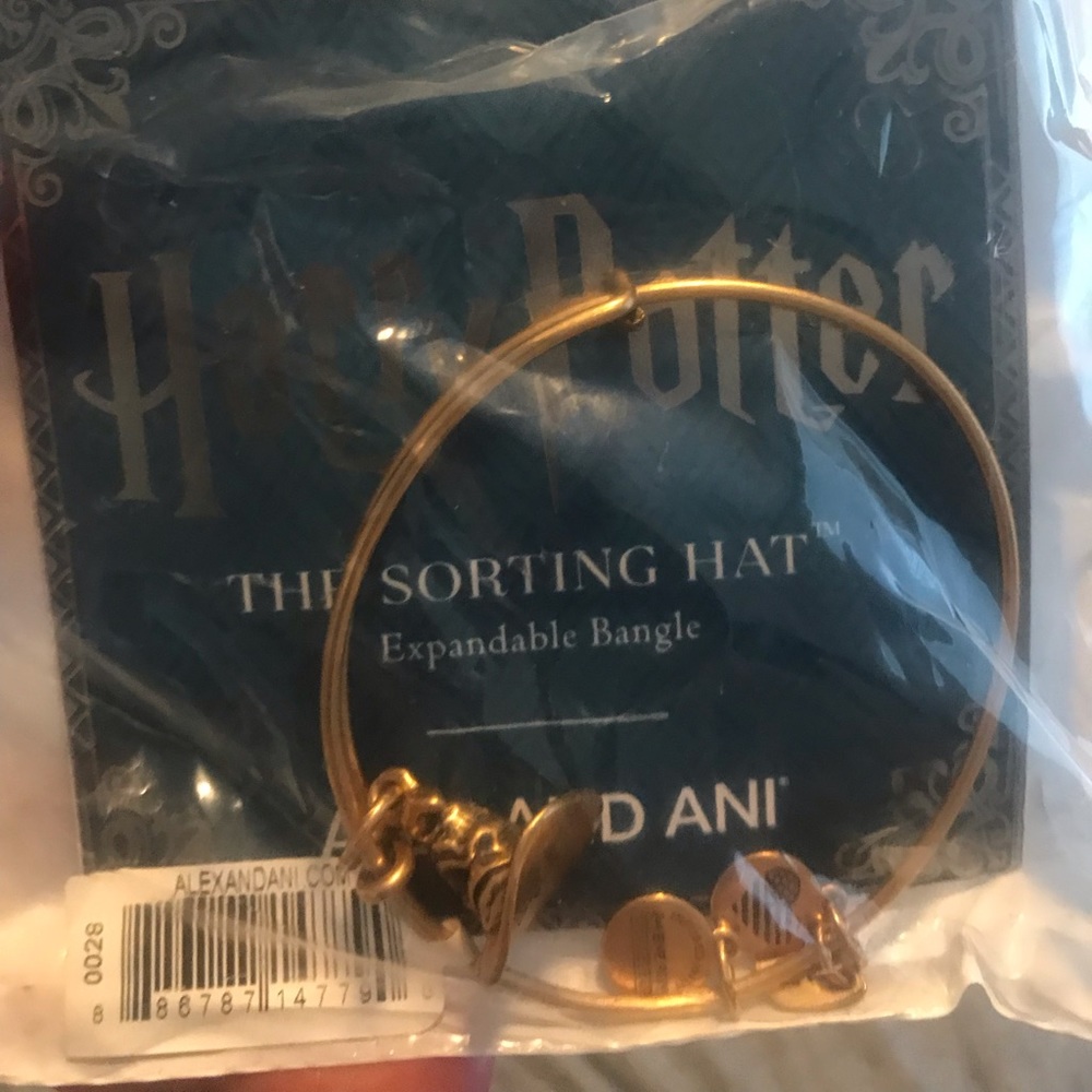 Alex & ani LTD Harry Potter sorting hat bracelet